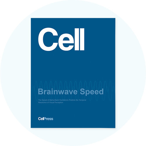 Book cover with the text "Cell" on a blue background