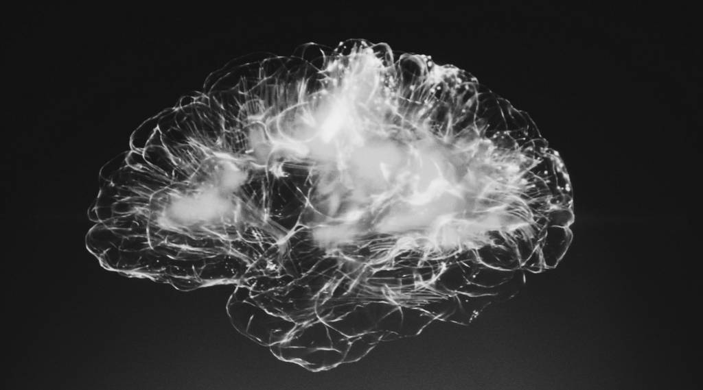 반투명한 구름같은 형태로 이뤄진 뇌의 옆모습 형상